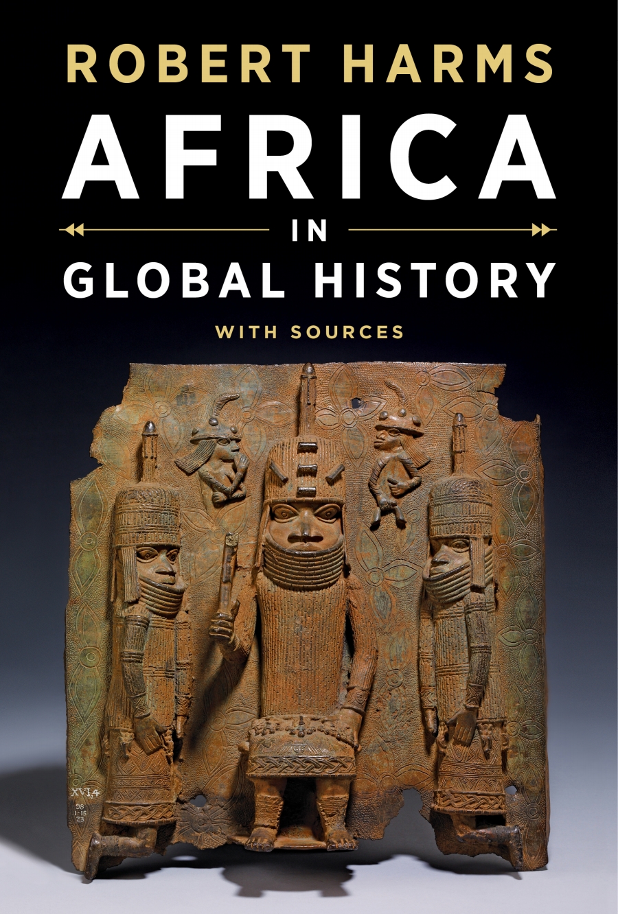 Africa in Global History with Sources 1st Edition