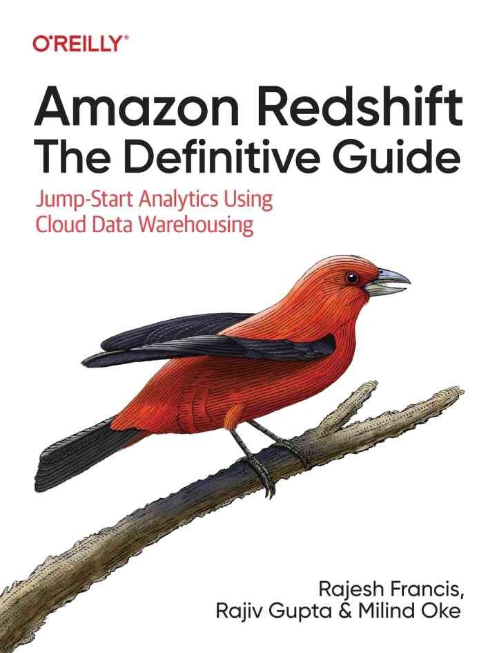 Amazon Redshift: The Definitive Guide: Jump-Start Analytics Using Cloud Data Warehousing, 1st Edition