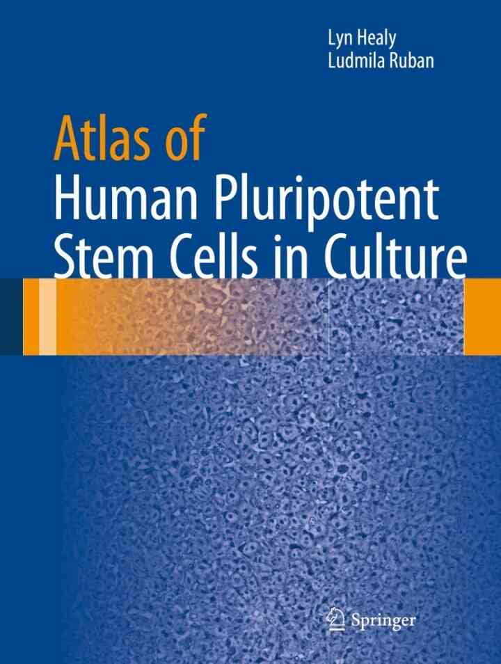 Atlas of Human Pluripotent Stem Cells in Culture
