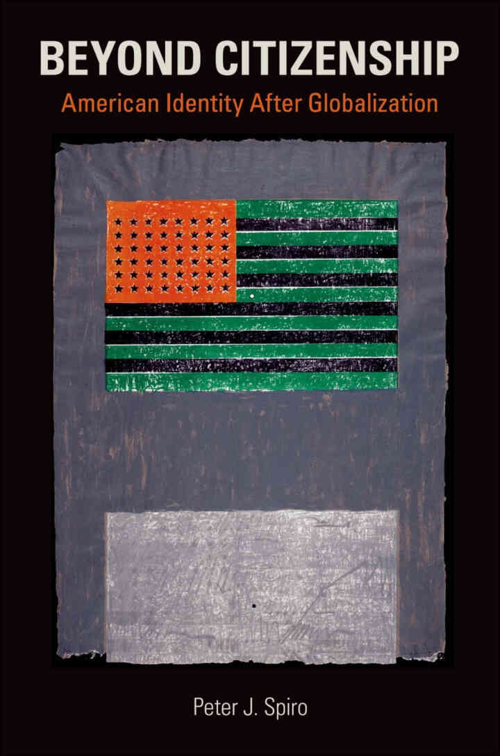 Beyond Citizenship: American Identity After Globalization