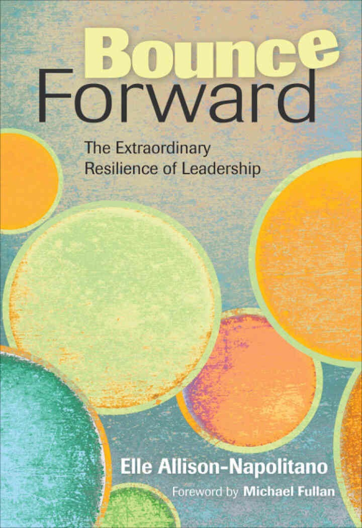 Bounce Forward: The Extraordinary Resilience of Leadership, 1st Edition
