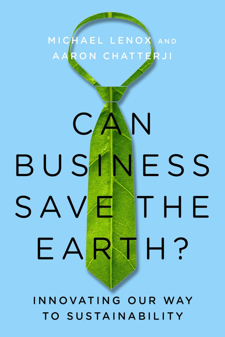 Can Business Save the Earth?: Innovating Our Way to Sustainability