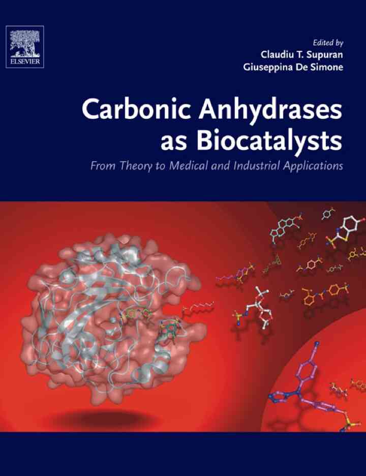 Carbonic Anhydrases as Biocatalysts: From Theory to Medical and Industrial Applications