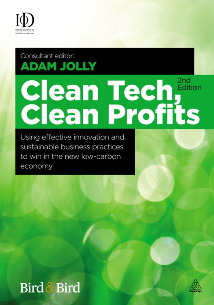 Clean Tech Clean Profits: Using Effective Innovation and Sustainable Business Practices to Win in the New Low-carbon Economy