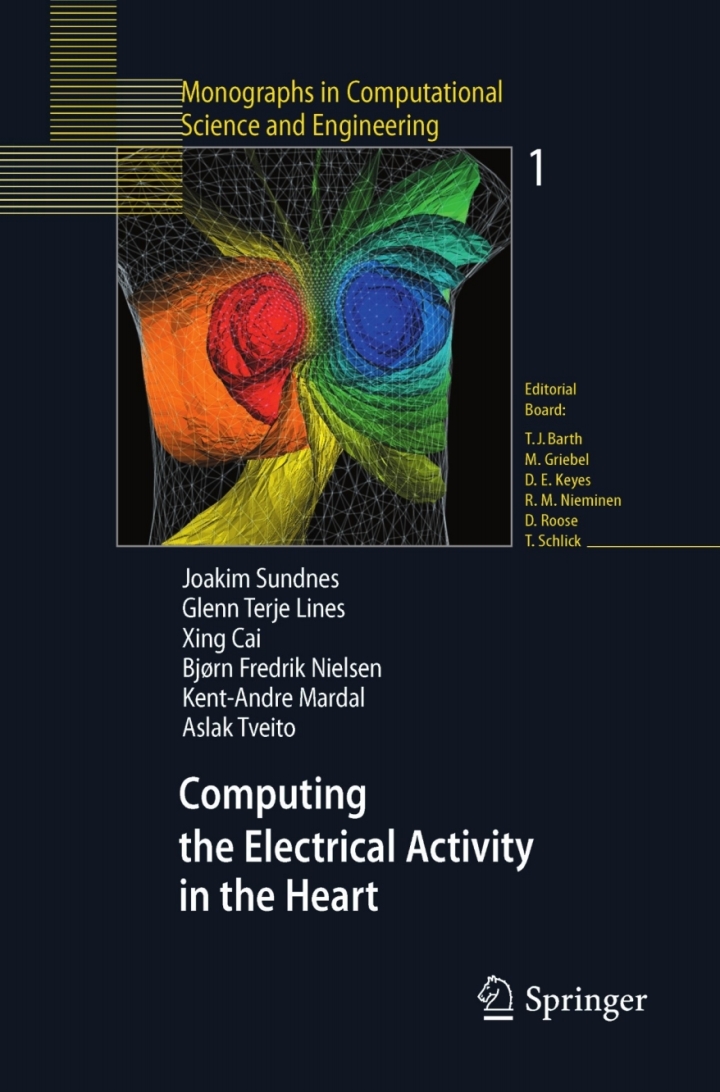 Computing the Electrical Activity in the Heart