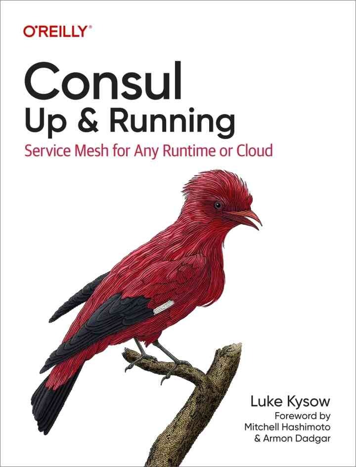 Consul: Up and Running: Service Mesh for Any Runtime or Cloud, 1st Edition