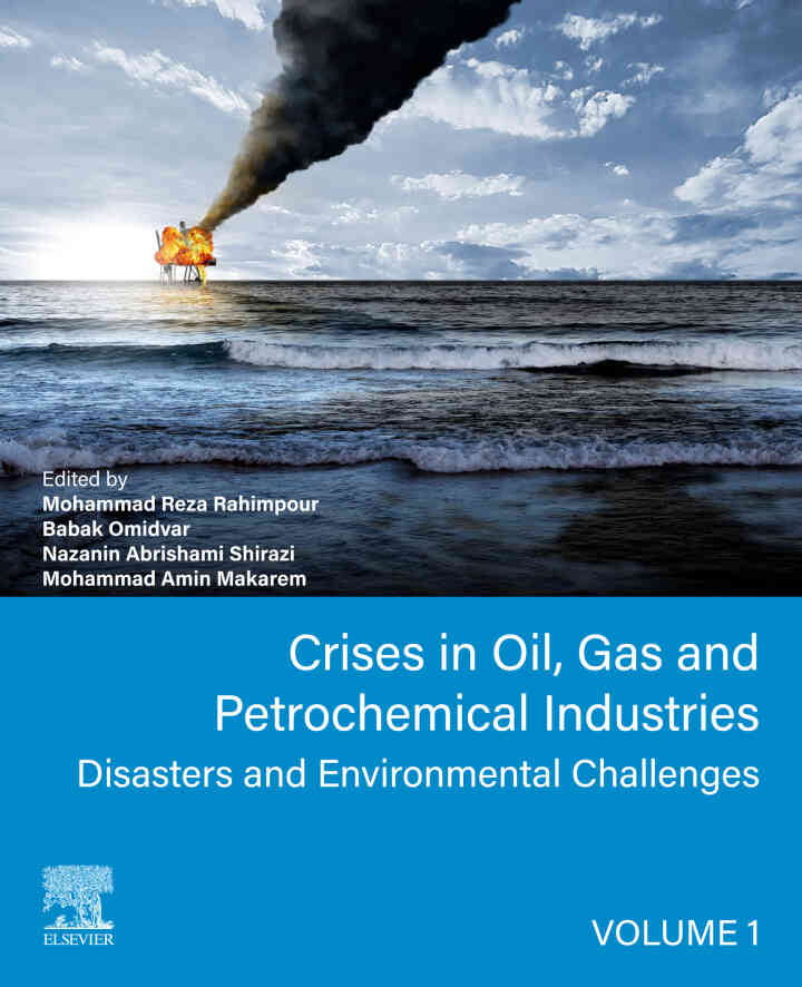 Crises in Oil, Gas and Petrochemical Industries: Disasters And Environmental Challenges