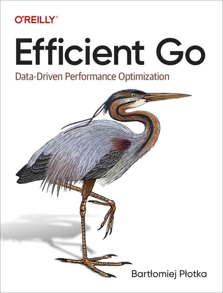 Efficient Go: Data-Driven Performance Optimization, 1st Edition