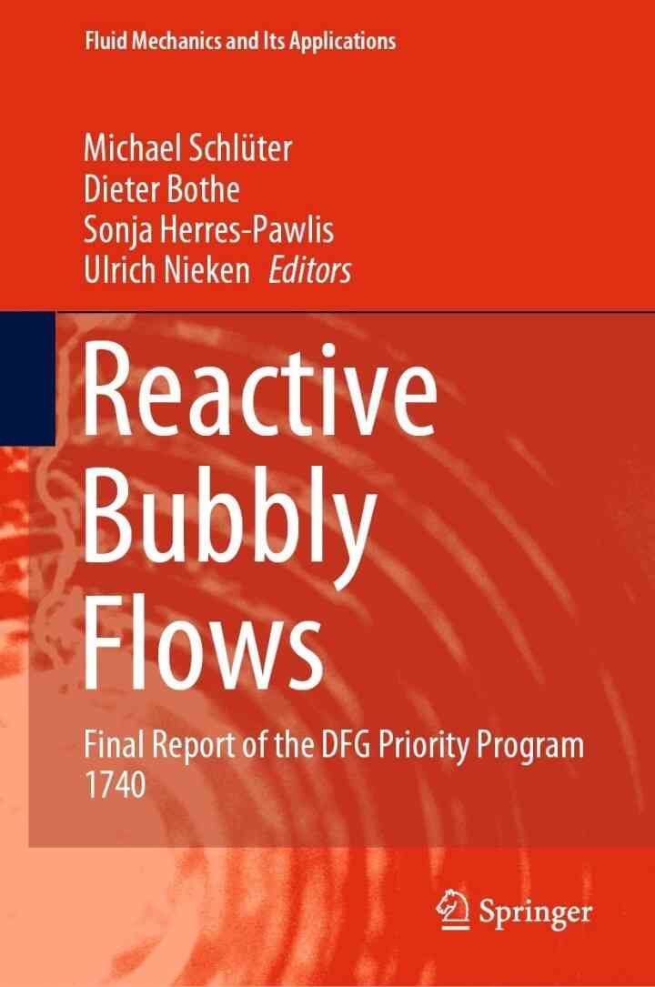 Reactive Bubbly Flows: Final Report of the DFG Priority Program 1740