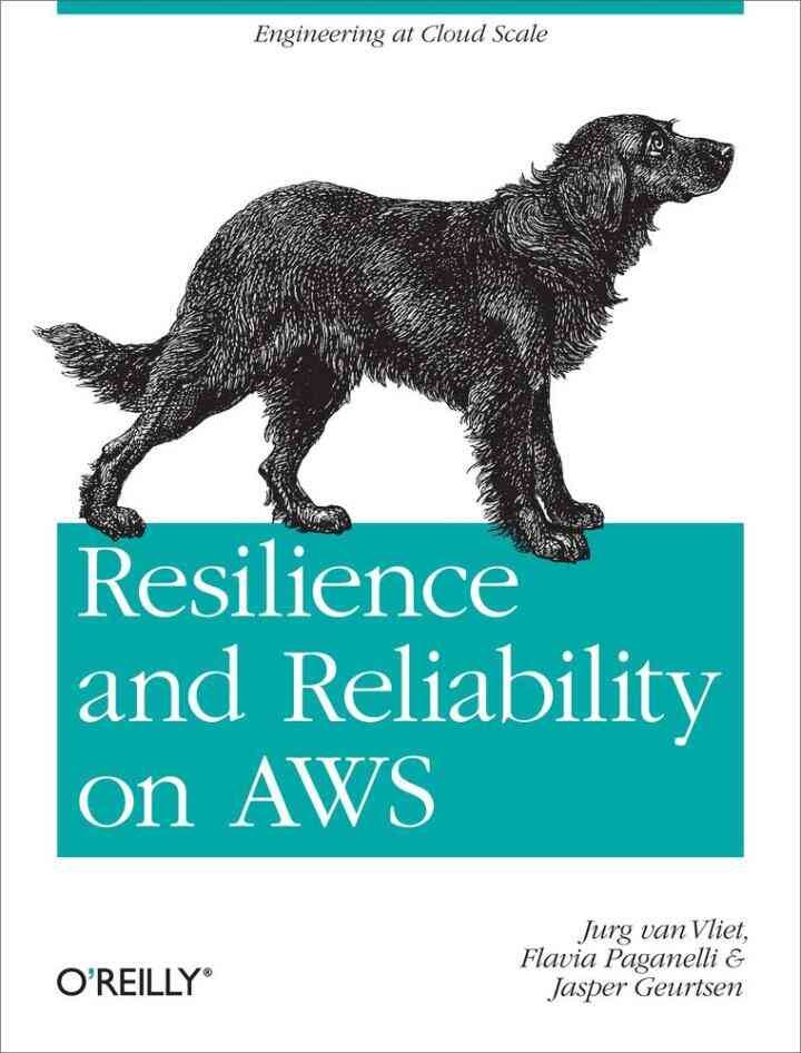 Resilience and Reliability on AWS: Engineering at Cloud Scale, 1st Edition