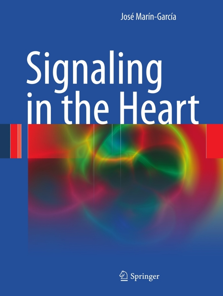 Signaling in the Heart