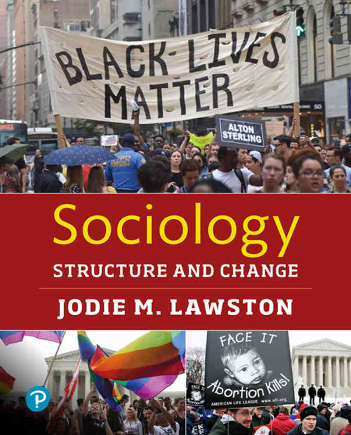 Sociology: Structure and Change, 1st Edition