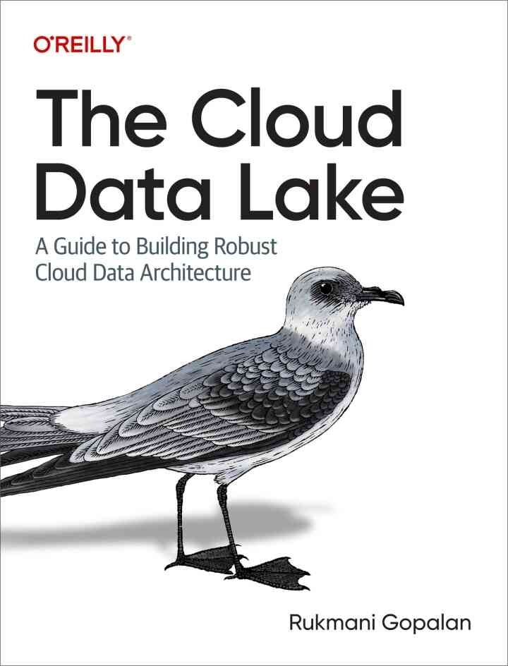 The Cloud Data Lake: A Guide to Building Robust Cloud Data Architecture, 1st Edition