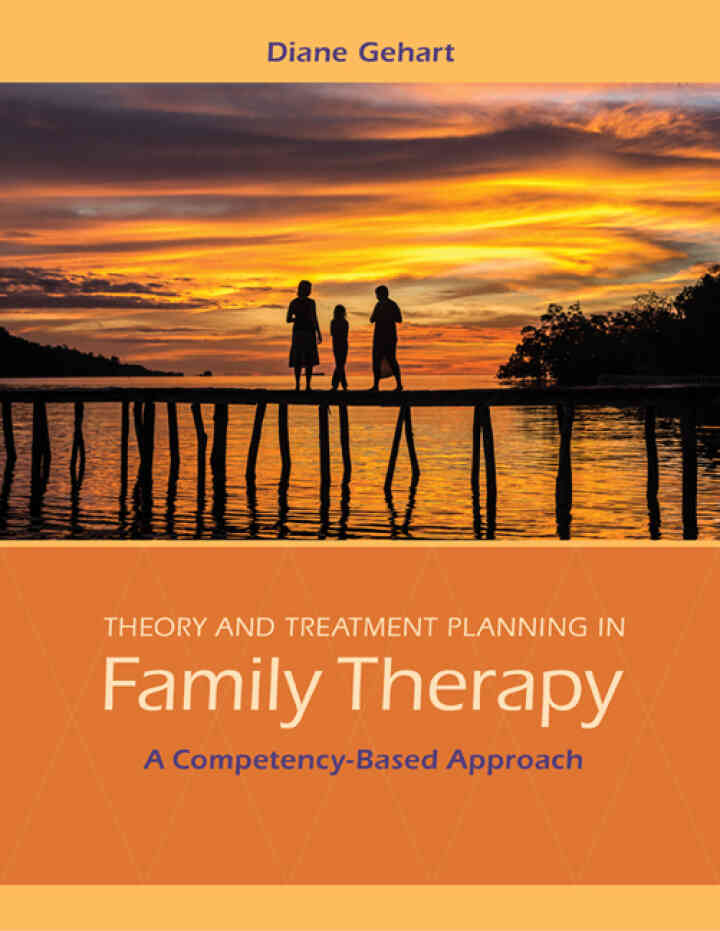 Theory and Treatment Planning in Family Therapy: A Competency-Based Approach 1st Edition