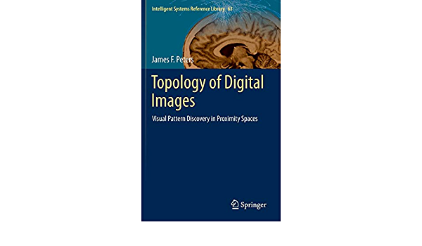 Topology of Digital Images: Visual Pattern Discovery in Proximity Spaces