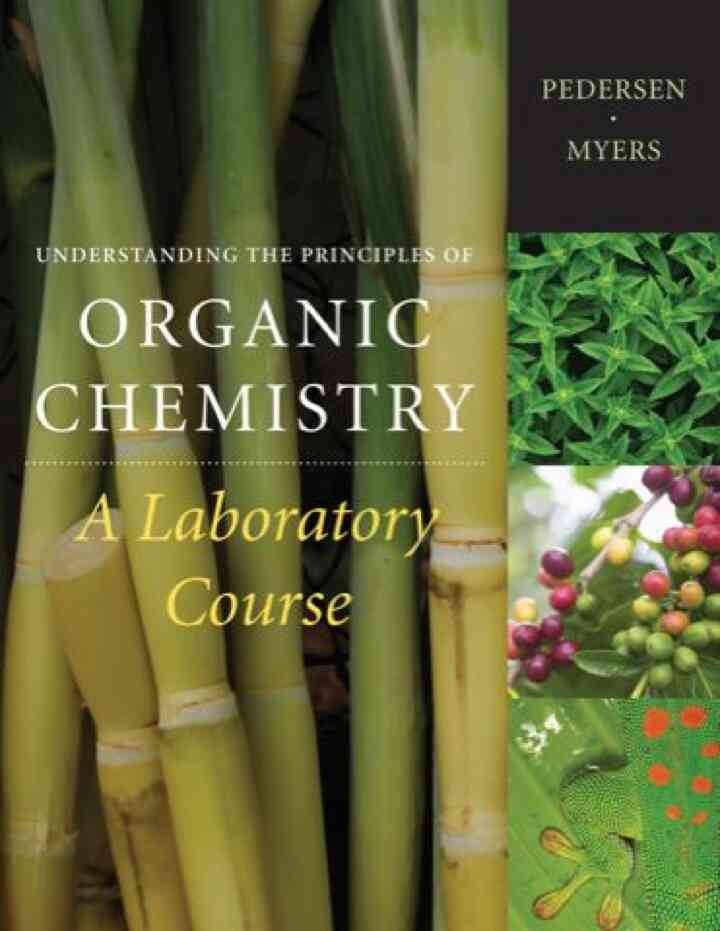 Understanding the Principles of Organic Chemistry: A Laboratory Course 1st Edition