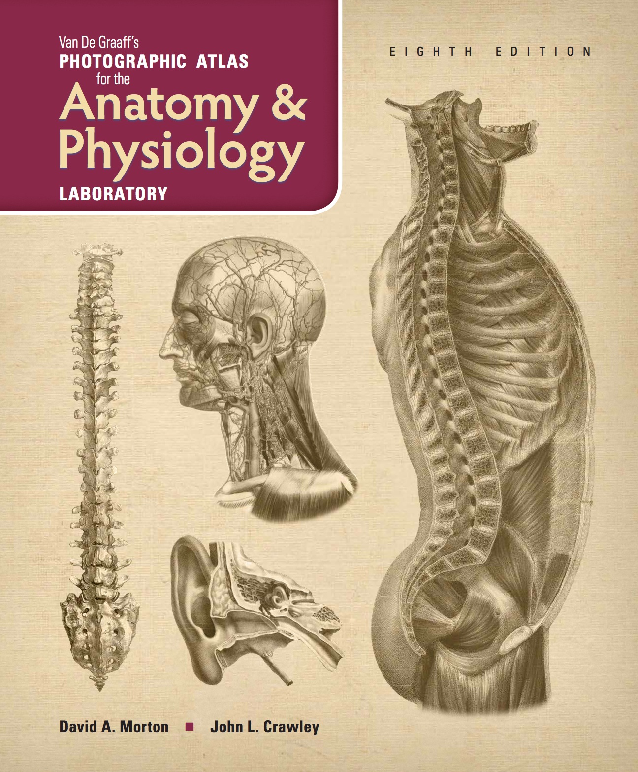 VanDeGraaff's Photographic Atlas for the Anatomy & Physiology Laboratory